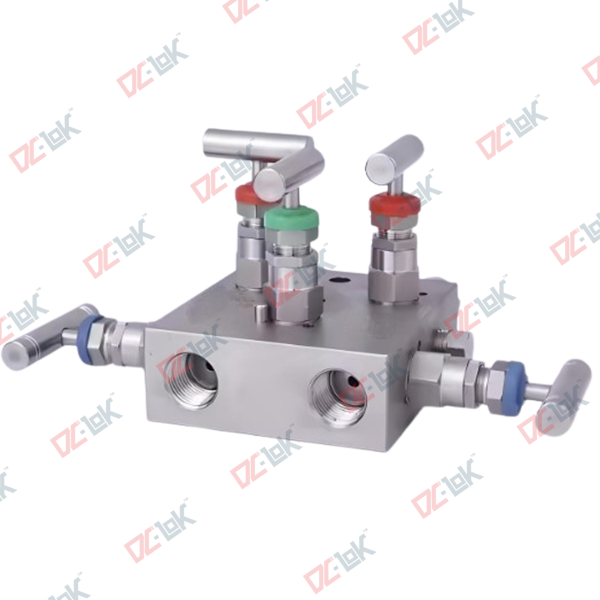 Five Valve Manifold Remote Mount Pipe x Pipe