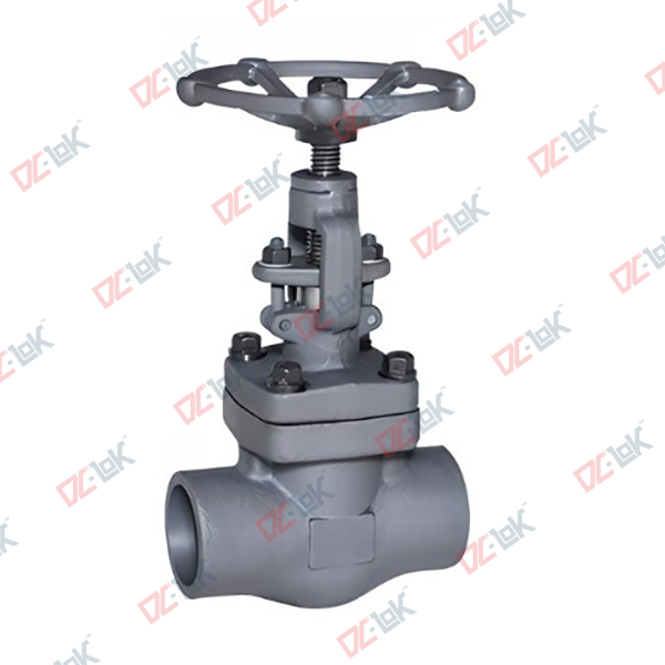 Forged Steel Globe Valve