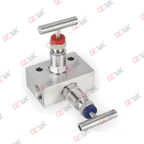 Two Valve Manifold Remote Mount Pipe x Pipe